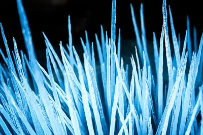 Illustration spikes - Image 1