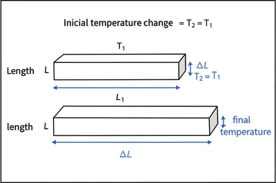 Illustration expansion - Image 1