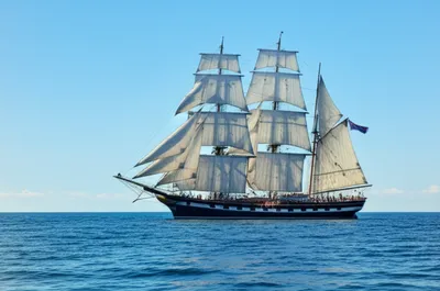 Illustration seagoing - Image 1