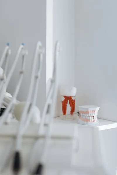 Illustration orthodontia - Image 2