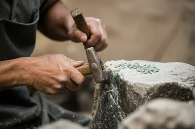 Illustration cobs - Image 1