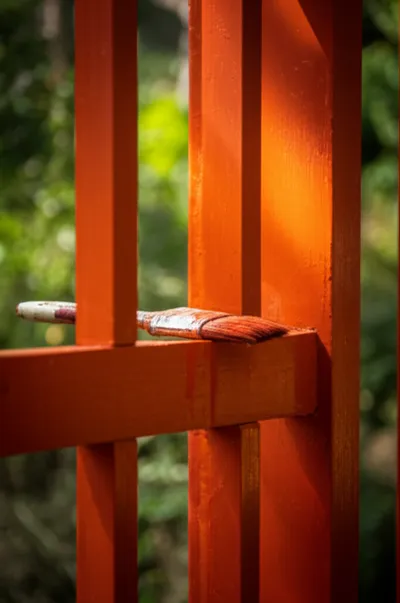 Illustration vermilion - Image 1