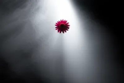 Illustration focussed - Image 1