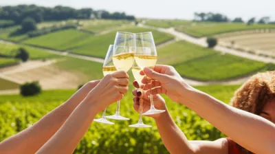 Illustration champagne - Image 1