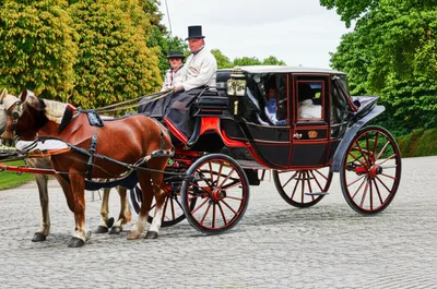 Illustration carriage - Image 1