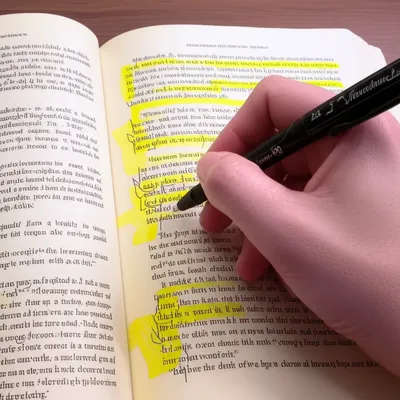 Illustration notate - Image 1