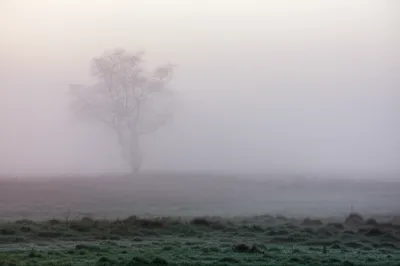 Illustration damps - Image 1