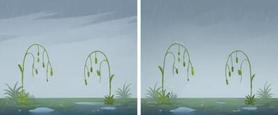 Illustration persistence - Image 1