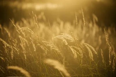 Illustration sweeping - Image 1