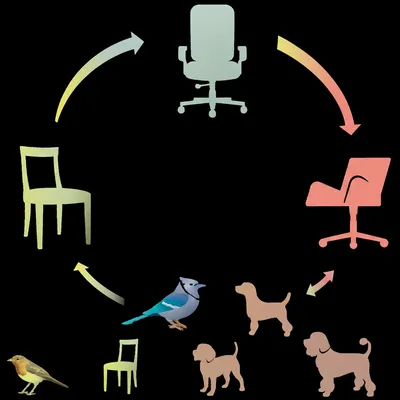 Illustration generalizations