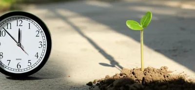 Illustration den - Image 1