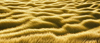 Illustration waving - Image 1