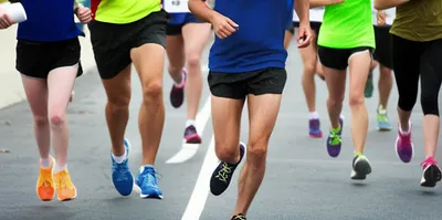 Illustration baulks - Image 1