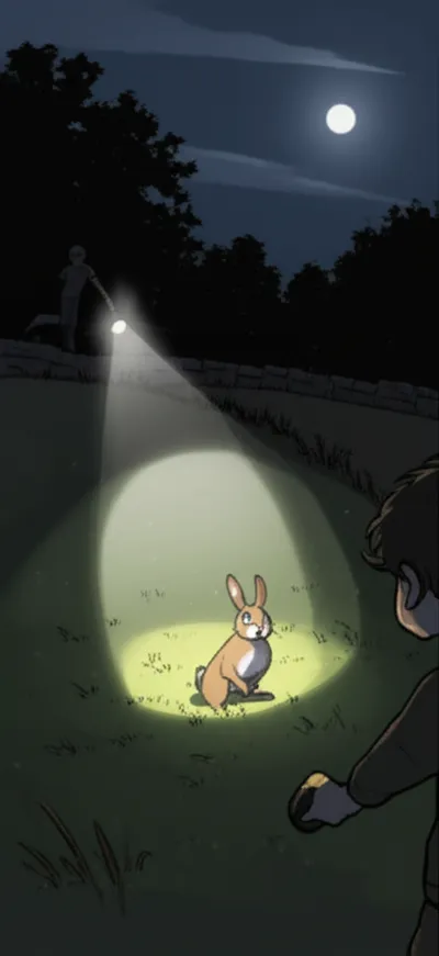 Illustration lamps - Image 1