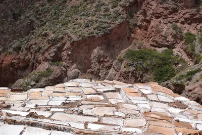 Illustration salina - Image 2