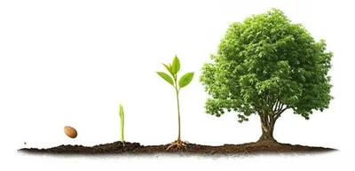 Illustration develops - Image 1