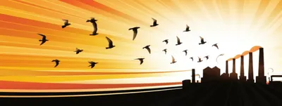 Illustration exported