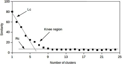 Illustration knee - Image 2