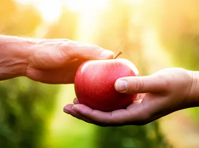 Illustration avail - Image 1