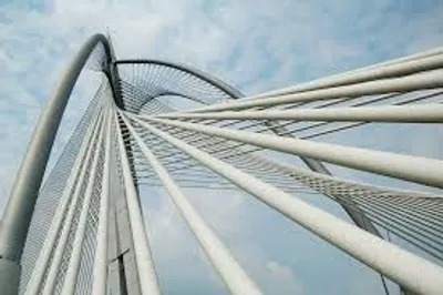 Illustration delicacy - Image 3