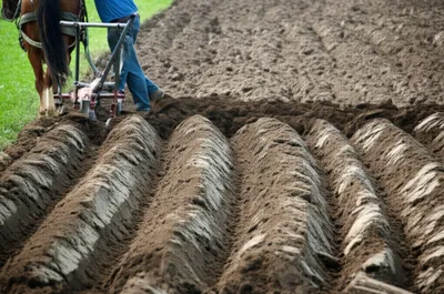 Illustration roving - Image 1