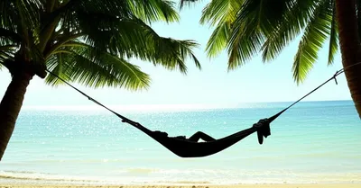 Illustration escapes - Image 1