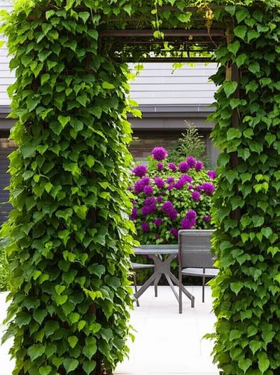 Illustration trellis - Image 1