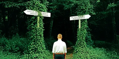 Illustration misreading