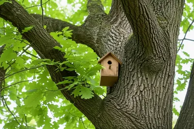 Illustration content - Image 1