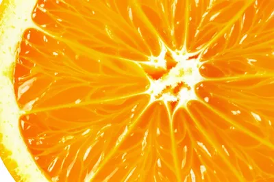 Illustration peel - Image 1