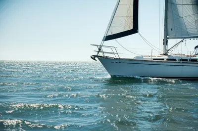 Illustration leeward - Image 1