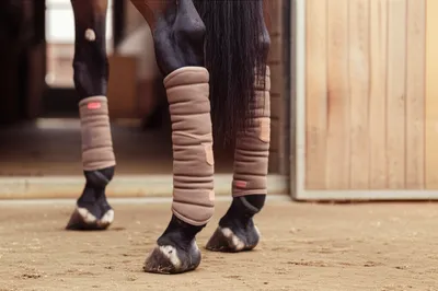 Illustration pad - Image 1