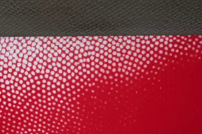 Illustration bandana - Image 1