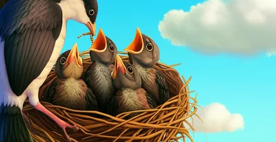 Illustration birdies - Image 1