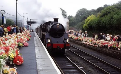 Illustration terminated - Image 1