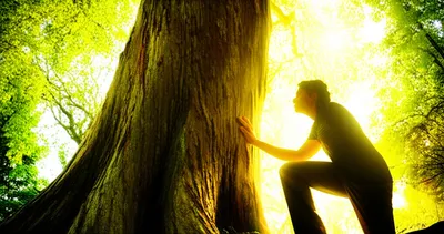 Illustration deferred - Image 1