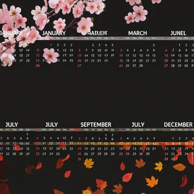 Illustration semiannual