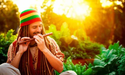 Hình ảnh minh họa rasta - Ảnh 1