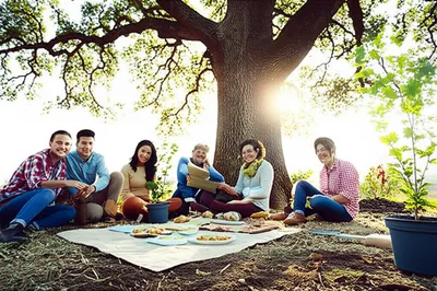 Illustration commonwealth - Image 1