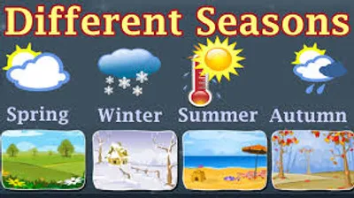 Illustration seasonal - Image 2