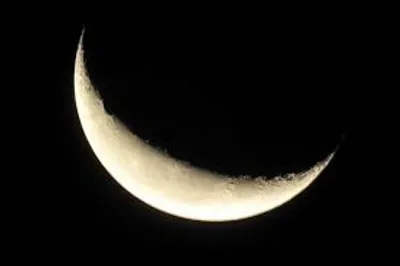 Illustration crescent - Image 2