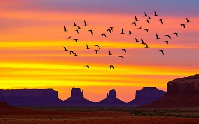 Illustration southwestwards - Image 1