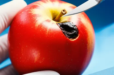 Illustration excise - Image 1