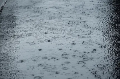 Illustration patter - Image 1