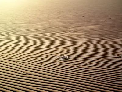 Illustration underflow - Image 1