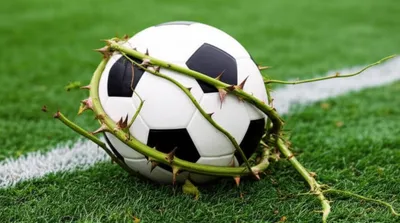 Illustration fouls - Image 1