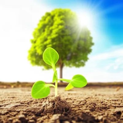 Illustration getting - Image 1