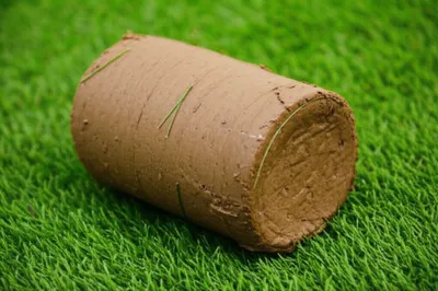 Hình ảnh minh họa stool - Ảnh 1