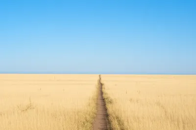 Illustration horizontal - Image 1