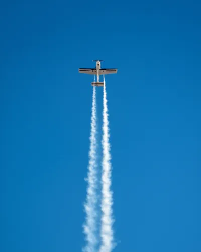 Illustration zoom - Image 1